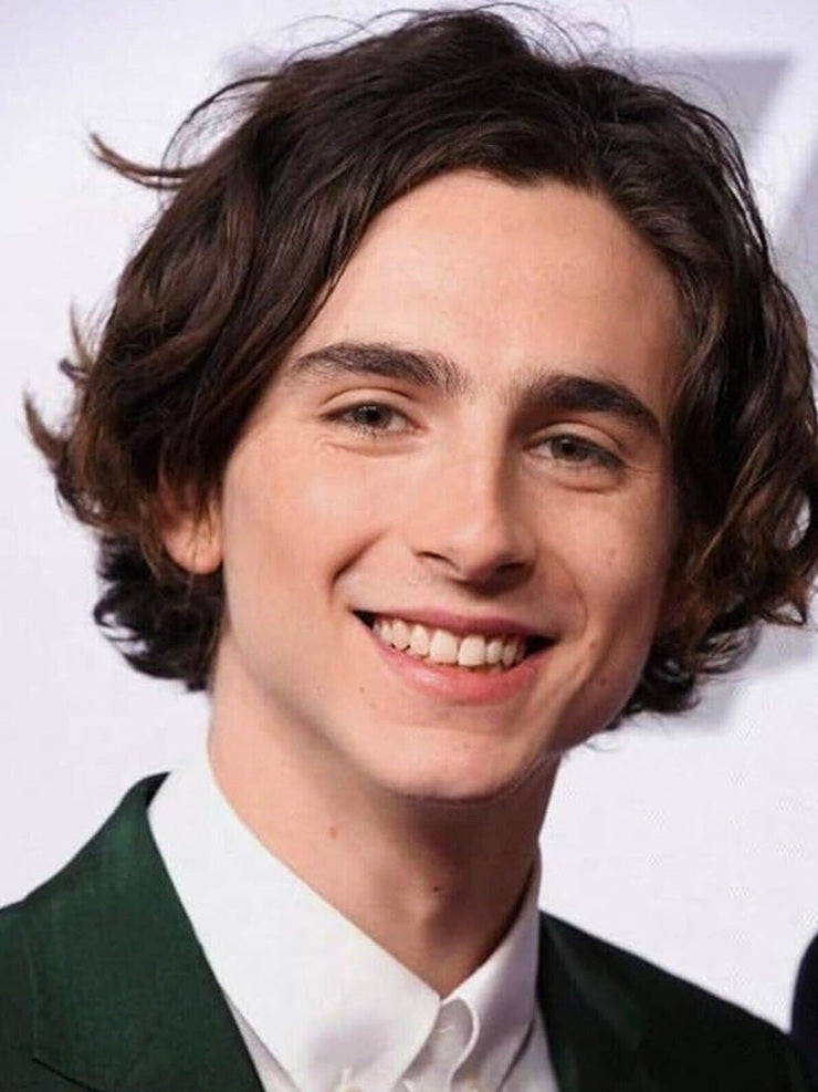 Timothee Chalamet 8.5 x 11 Color Photograph Art Print Photo Picture Collectibles:Photographic Images:Photographs Style Your Walls